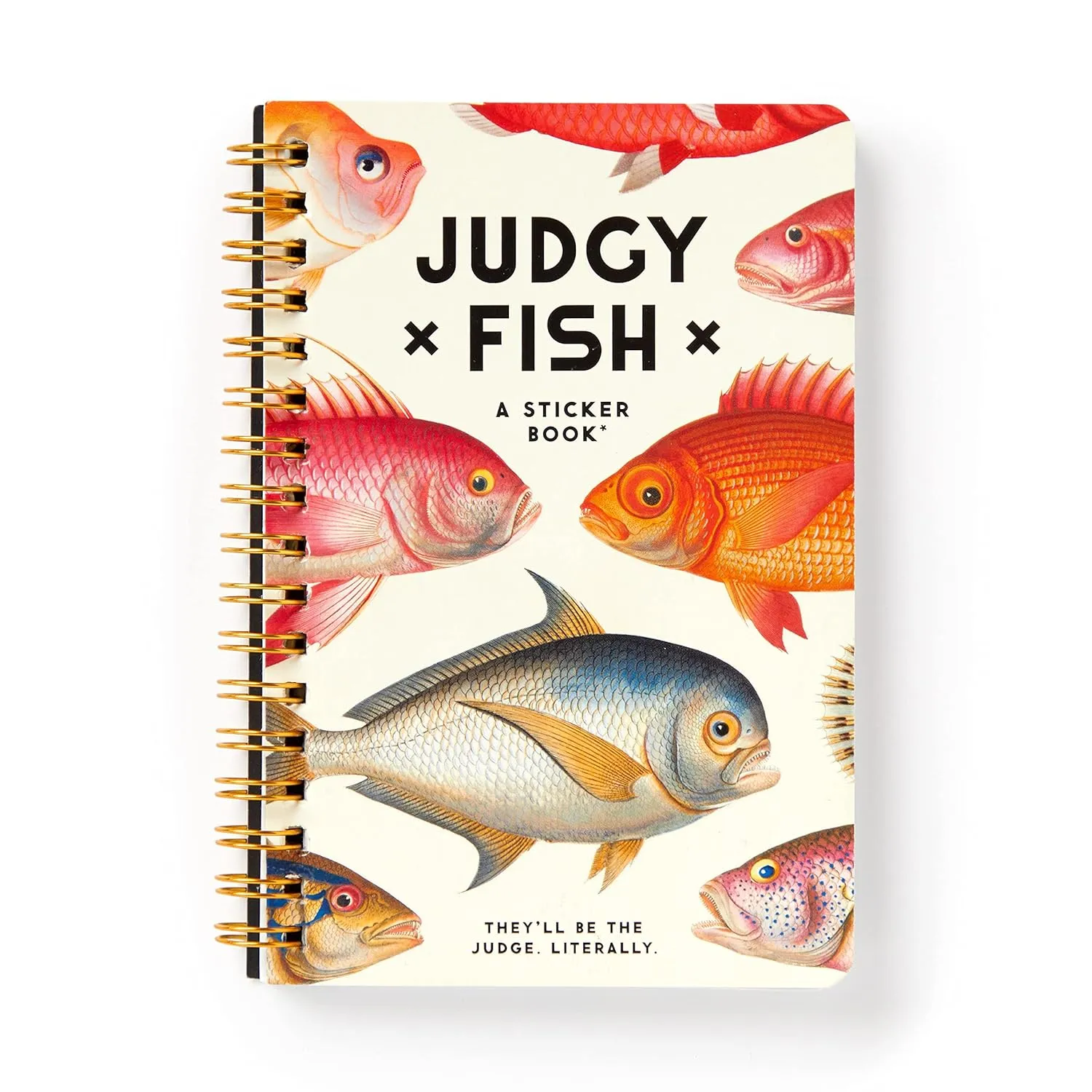 Judgy Fish Sticker Book (A Brass Monkey Sticker Book) Paperback  Sticker Book, July 11, 2023