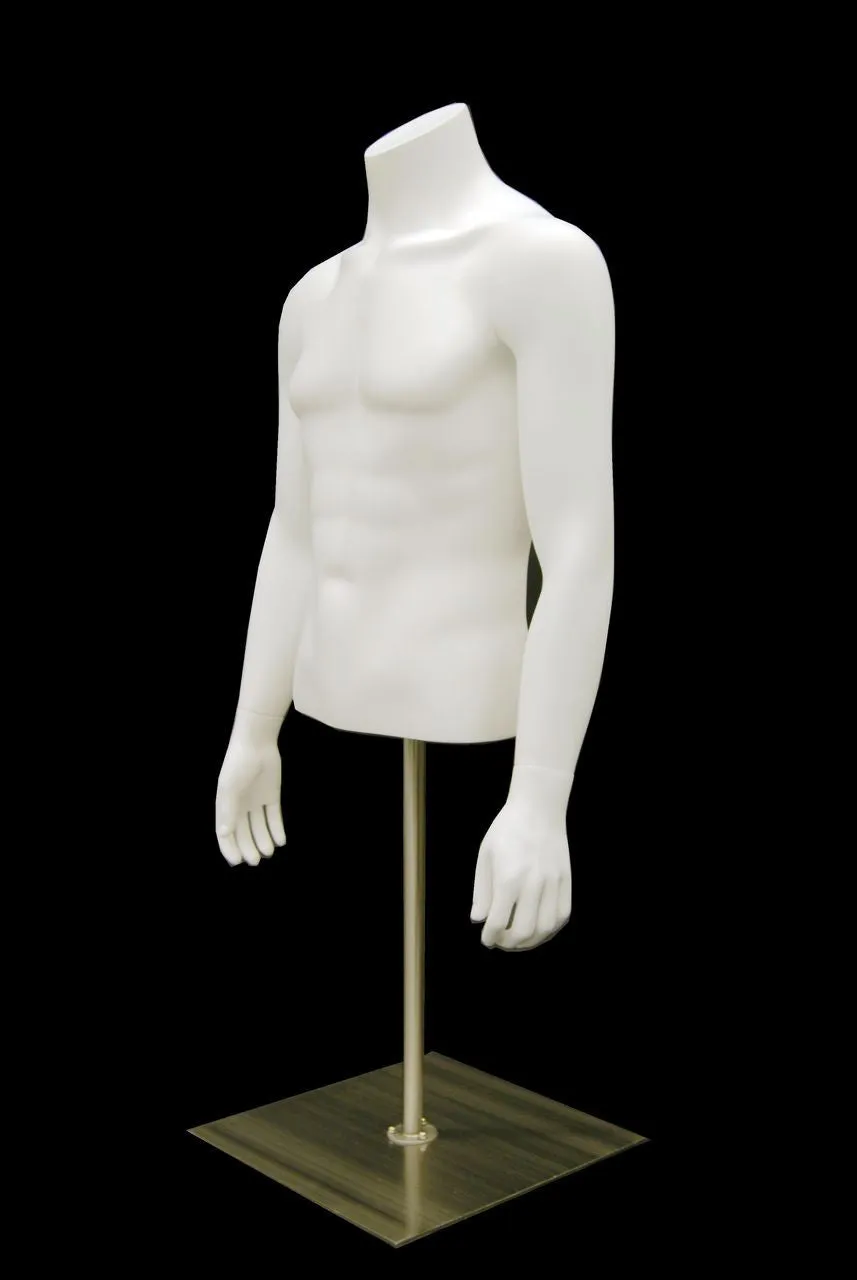 Male Torso w/ Base MM-EGTMSABW
