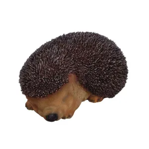 Vivid Arts 13cm Sleeping Baby Hedgehog - XRL-HH03-F