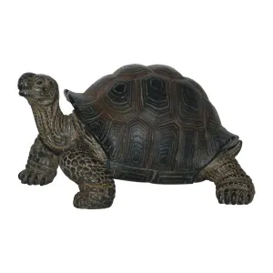 Vivid Arts 17cm Baby Tortoise Pet Pals - PP-BT02-F