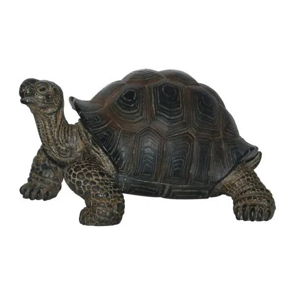 Vivid Arts 17cm Baby Tortoise Pet Pals - PP-BT02-F