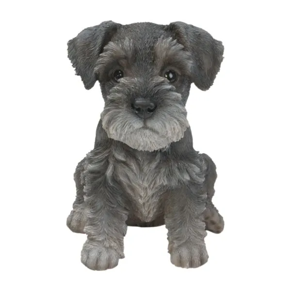 Vivid Arts 17cm Mini Schnauzer Puppy Pet Pals - PP-MINS