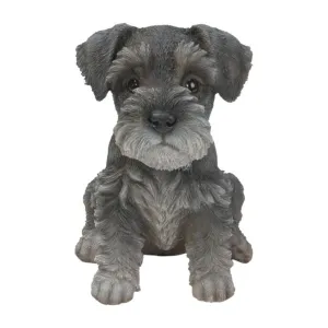 Vivid Arts 17cm Mini Schnauzer Puppy Pet Pals - PP-MINS