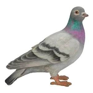 Vivid Arts 20cm Pigeon  -  XRL-PGON-D
