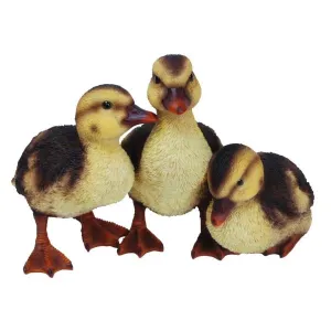 Vivid Arts 23cm Standing Duckling Group - NF-DK26-D