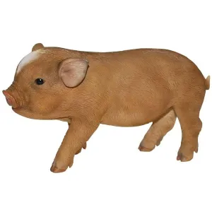Vivid Arts 24cm Micro Pig - PP-MP03-D