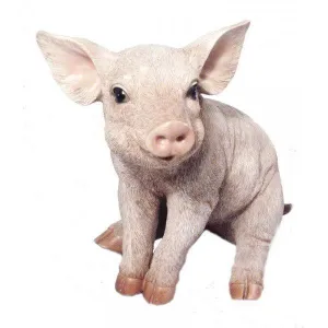 Vivid Arts 24cm Piglet - XRL-PIGL-DM