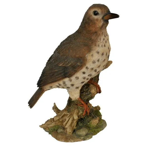 Vivid Arts 26cm Thrush or Black Bird - WBC-MX01-F