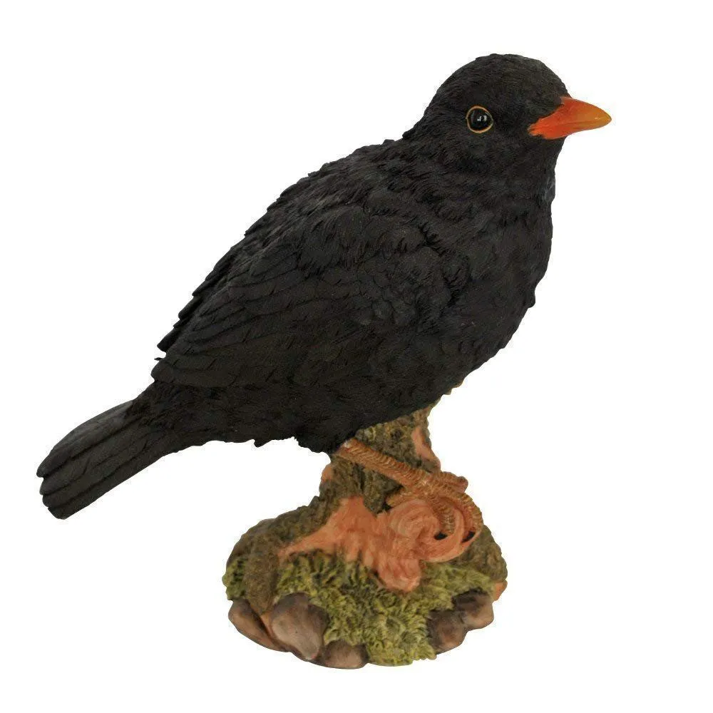 Vivid Arts 26cm Thrush or Black Bird - WBC-MX01-F