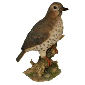 Vivid Arts 26cm Thrush or Black Bird - WBC-MX01-F