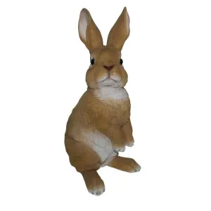Vivid Arts 38.5cm Lookout Rabbit - XRL-RB14-C